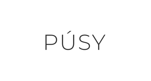 PUSY